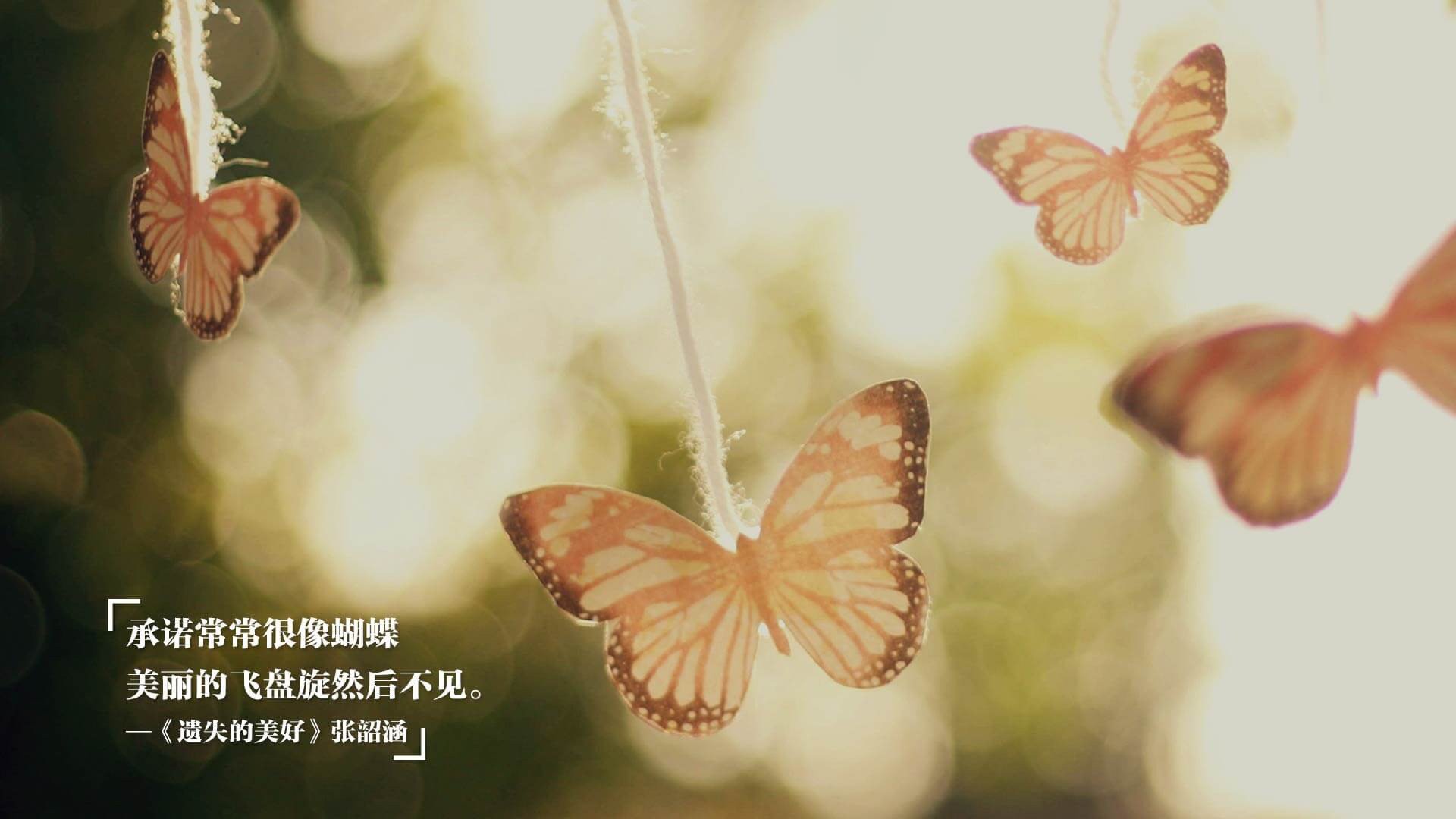 巨龙过境！杜兰特49分摧毁独行侠防线，广厦团队篮球铸就关键胜利