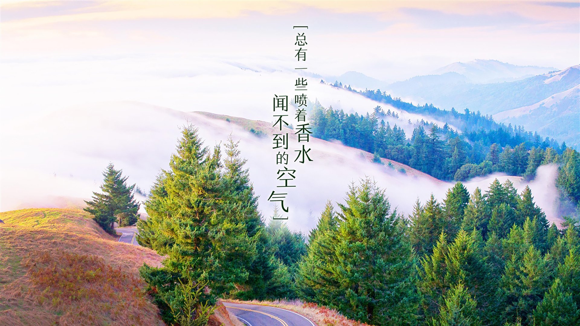 跨代际对决,文班亚马新王当立,雷霆梦幻压制广东