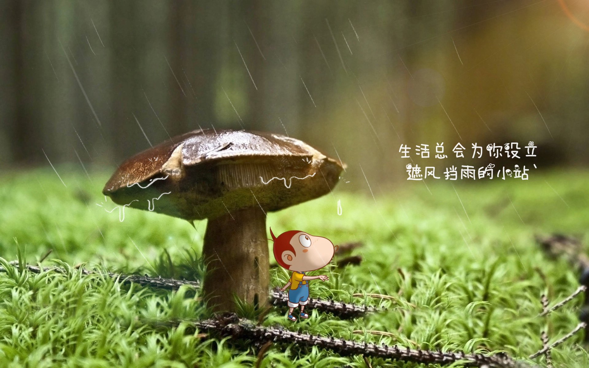 唯一性的织物，萨卡编织瞬间与美国队突破加纳的不可复制线