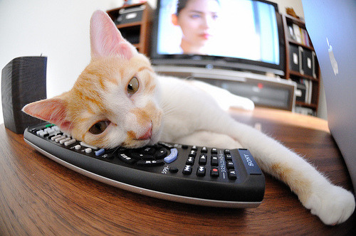 当闪电划过那不勒斯的夜空，釜山行般的决胜局