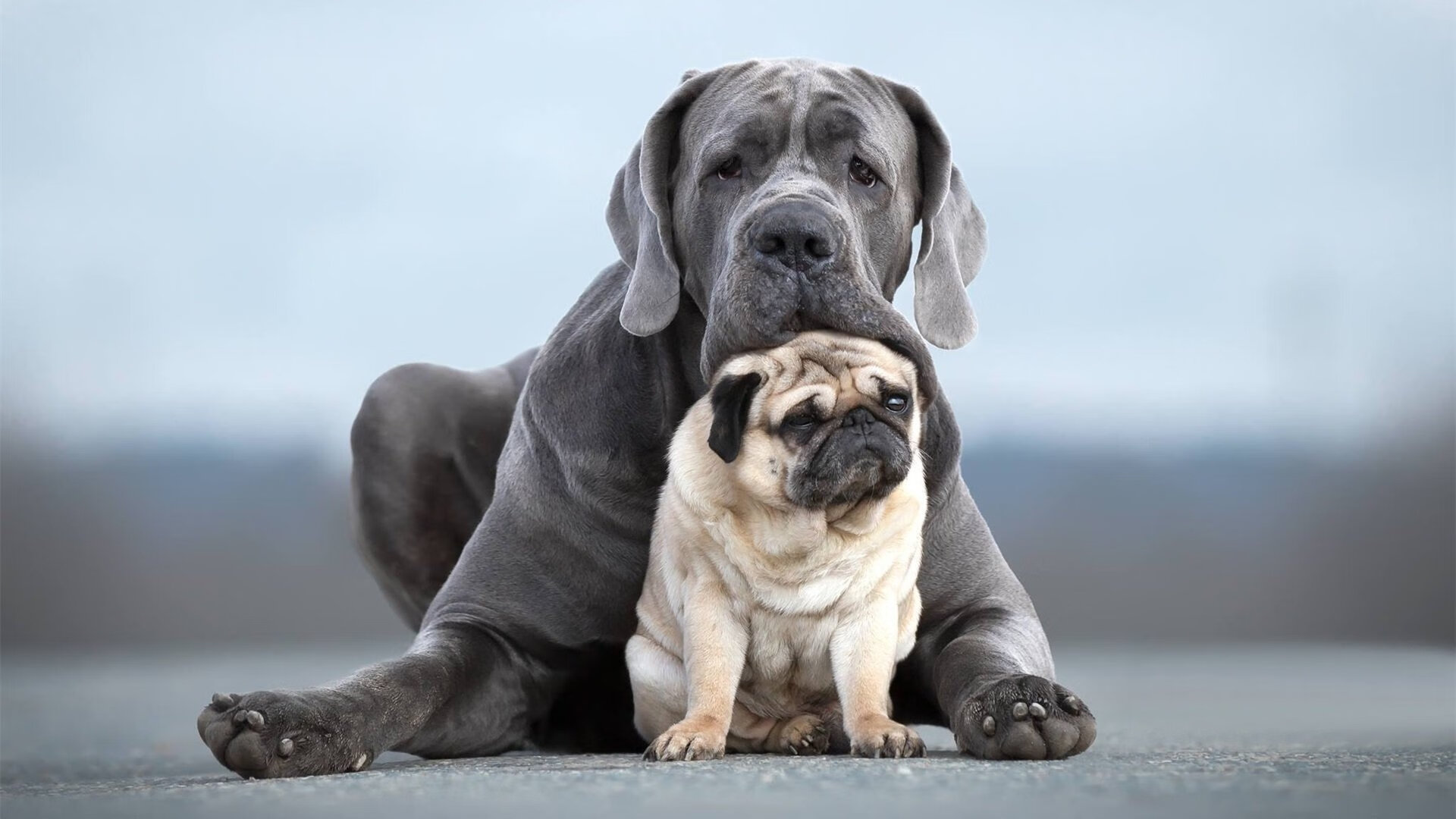 新王当立！加拿大终结43年宿命，门神奥纳纳成为关键先生