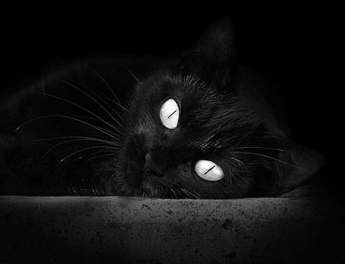 同时代的两场征服，当机器横扫战场，神明接管比赛