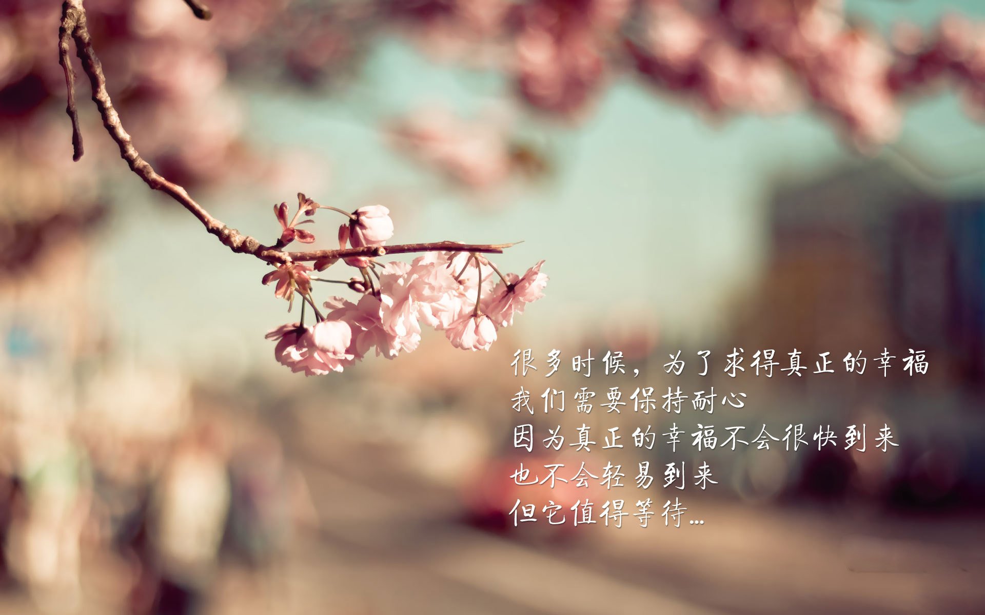 沙丘之刃,当波斯铁骑绝杀南美旋风的唯一剧本