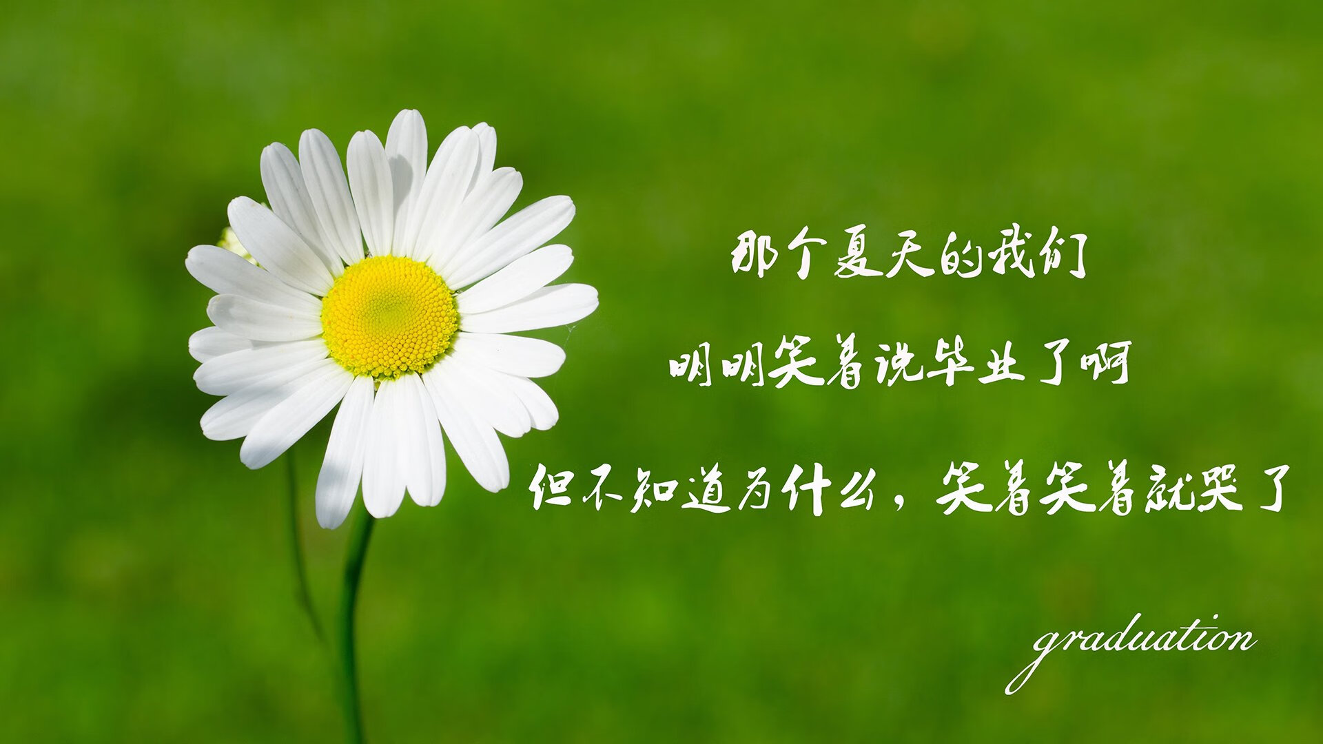 血色玫瑰与孤独骑士,2026黑马之战,一场被绝杀定义的完美压制