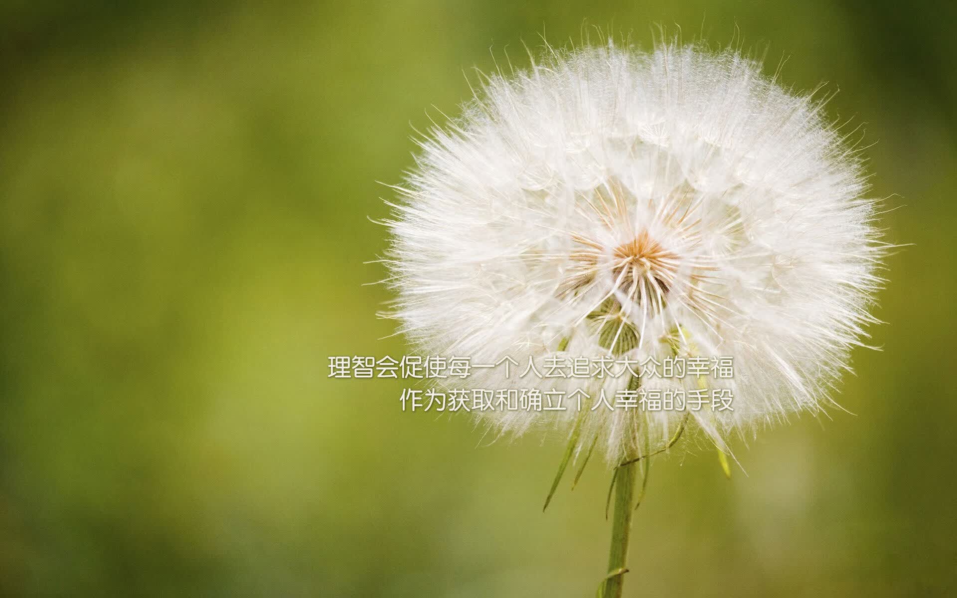 唯一的主宰，京多安用防守反击为泰国打开世界杯胜利之门