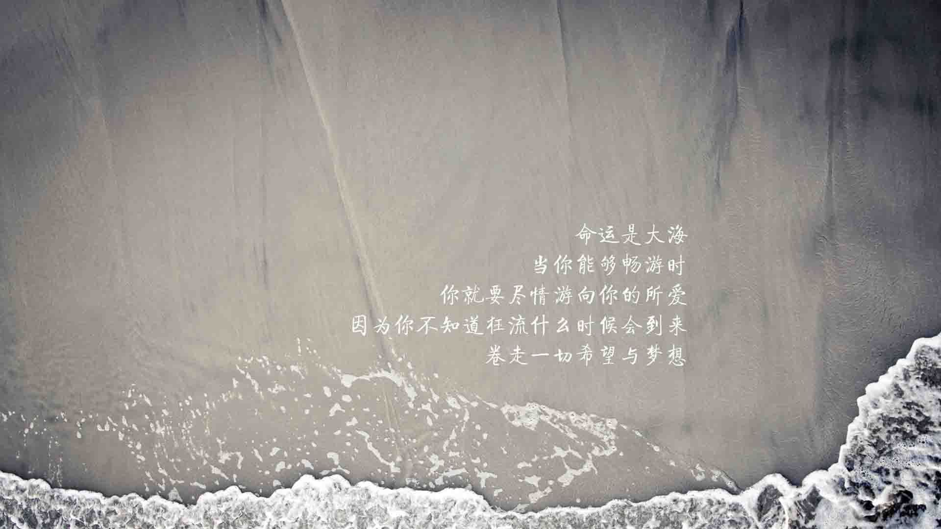 2026,多哈的冰与火,当高卢雄鸡折翼,波斯铁骑书写唯一神迹